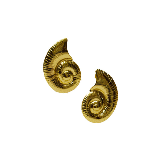 Big Shell Earrings