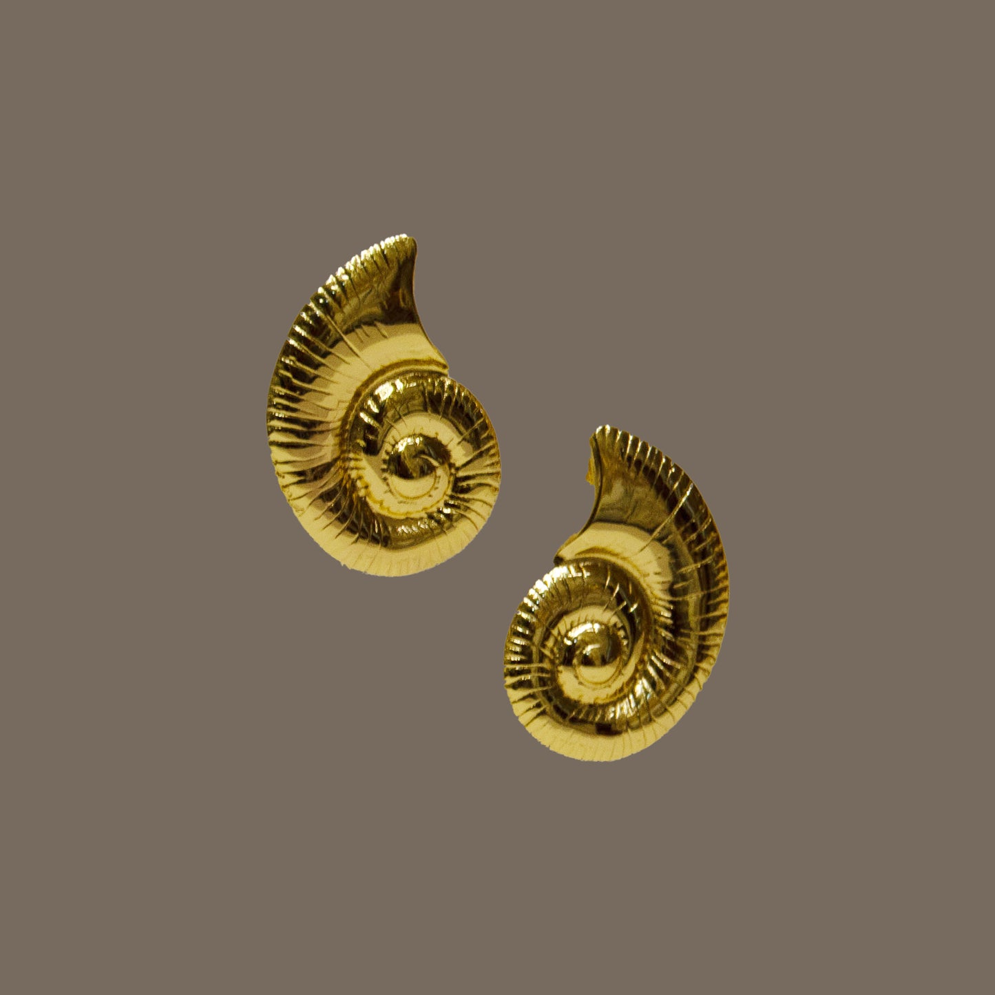 Big Shell Earrings